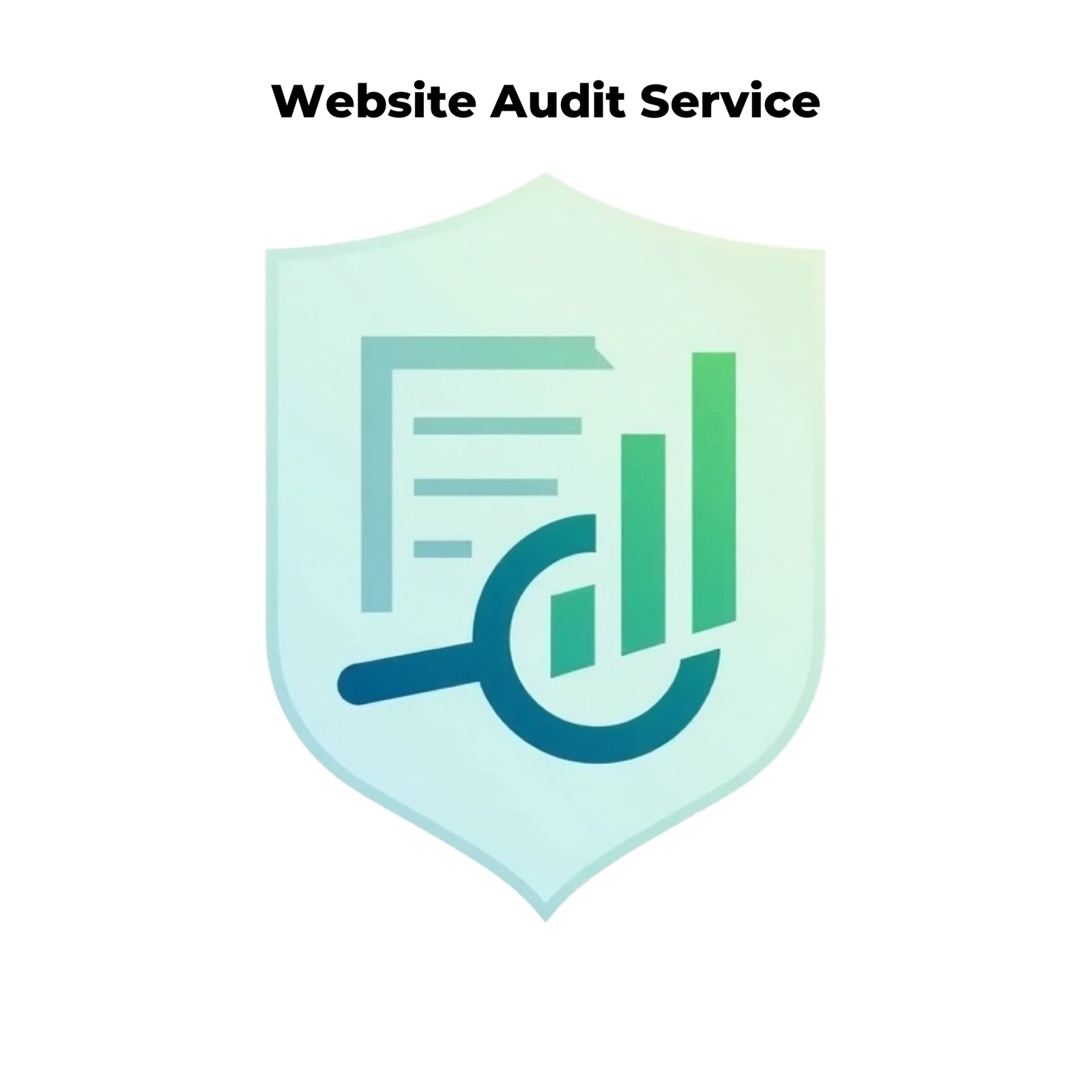Website Audit Service - PageRanker.net